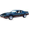 Lower Body Solid Stripe Kit for 1986-1988 Firebird Formula - image 1