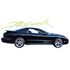 Firehawk Decal Kit for 1993-2002 Pontiac Firebird - image 1
