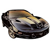 Ram Air Stripe Kit for 1998-2002 Firebird Trans Am T-Top - image 1