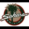 Wrangler Sahara Edition Decals for 1999-2002 Jeep Wrangler - image 2