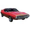 T Stripe Kit for 1971-1974 AMC AMX/Javelin - image 1