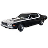 Side and Roof Strobe Stripe Kit for 1973 Plymouth Road Runner - image 1