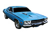 Complete Vehicle Stripe Kit for 1974 Plymouth Road Runner - image 1