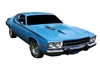 Complete Vehicle Stripe Kit for 1974 Plymouth Road Runner - image 1