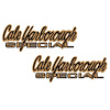 "Cale Yarborough" Fender Decals for 1969 Mercury Cyclone - image 1