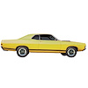 Complete Stripe Kit for 1968-1969 Ford Fairlane/Torino GT - image 1