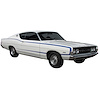 C Stripe Kit for 1968 Ford Torino - image 1