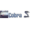 Cobra and Snake Decals for 1971 Ford Torino Cobra - image 1