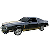 Cobra II Stripe and Decal Kit for 1975-1977 Ford Mustang Cobra II - image 1