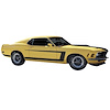 C Stripe Kit for 1970 Ford Mustang Grabber - image 1