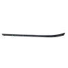 WFR 5111 04 Beltline Molding for 2000-2006 Toyota Tundra - image 1