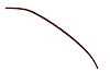 WLM F5048 Windshield Molding for 2019-2023 Toyota Corolla, 2020-2023 Toyota Corolla, 2023-2023 Toyota GR Corolla