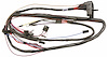 Wiring Harness Engine 1970 Skylark 350 V8 Man. Trans. - image 1