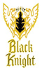Decal 78 El Camino Body Stripe Kit Black Knight Gold - image 1