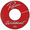Decal 63 Riviera Air Cleaner Wildcat 465 14 Clear - image 1