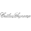 Emblem Fender 1973-77 Cutlass Supreme Script - image 1