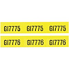 Decals Transmission Cooler Lines 1970 Chevelle/El Camino - image 1