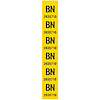 Tag Rear Coil Spring 1969 Chevelle SS BN - image 1