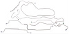 Brake Lines Power Disc 1978-80 Monte Carlo - image 1