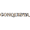 Decal 78-87 El Camino Tailgate Conquista Black/Flame - image 1