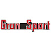 Emblem Quarter Panel 1965 Gran Sport - image 1