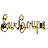 Emblem Sail Panel 1972 Skylark Sun Coupe - image 1
