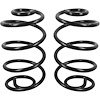 Rear Coil Springs 1967-72 Buick Skylark - image 1