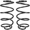 Rear Coil Springs 1969-72 Chevy Chevelle - image 1