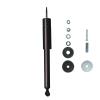 Suspension Strut - image 1