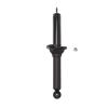 Suspension Strut - image 1