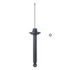 Suspension Strut - image 1