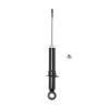 Suspension Strut - image 1
