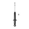 Suspension Strut - image 1