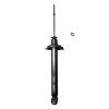 Suspension Strut - image 1