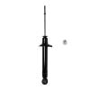 Suspension Strut - image 1