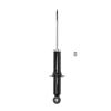Suspension Strut - image 1