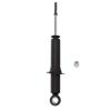Suspension Strut - image 1
