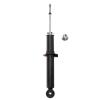 Suspension Strut - image 1