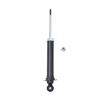 Suspension Strut - image 1