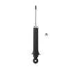 Suspension Strut - image 1
