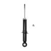 Suspension Strut - image 1