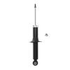 Suspension Strut - image 1