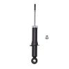 Suspension Strut - image 1