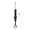 Suspension Strut - image 1
