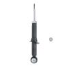 Suspension Strut - image 1