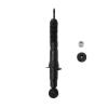 Suspension Strut - image 1