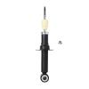 Suspension Strut - image 1