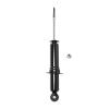 Suspension Strut - image 1