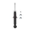 Suspension Strut - image 1