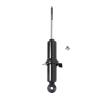 Suspension Strut - image 1